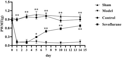 Sevoflurane Impedes Neuropathic Pain By Maintaining Endoplasmic