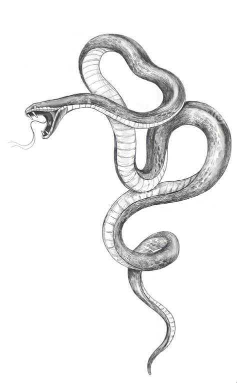 A Drawing Of A Snake With Its Mouth Open