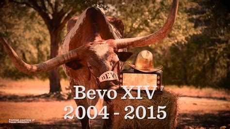 Bevo XIV Goodbye - YouTube