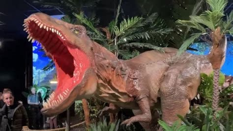 Des dinosaures plus vrais que nature à La Valette du Var