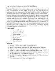 159 Experiment. 4 Isolation bacteria from skin.pdf - Aim - Isolate ...