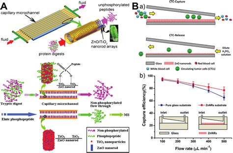 Microfluidics Enabled Biological Separation Applications Of Zno