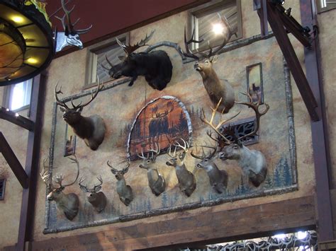 Racks Antlers On Display At Outdoor World Bass Pro Shop  Flickr