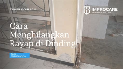 Bagaimana Cara Menghilangkan Rayap Di Dinding Pt Mahaka Improcare