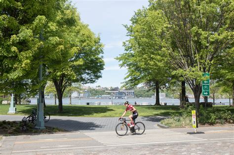 Five Boro Bike Tour Registration Teena Jacintha