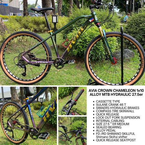 Avia Er Crown And Cruiser Pro Mtb New Design Alloy Steel Frame