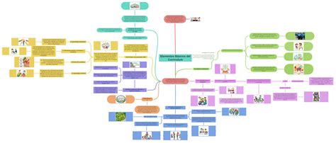 Elementos Básicos Del Curriculum Coggle Diagram