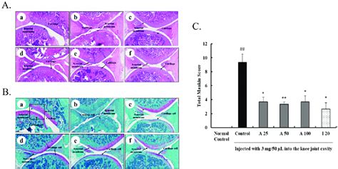 Effects Of AyuFlex On Joint Pathology In MIA Incurred OA In Rats A