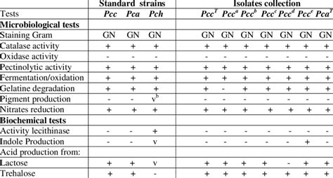 Results Of The Identification According To The Biochemical And Download Table