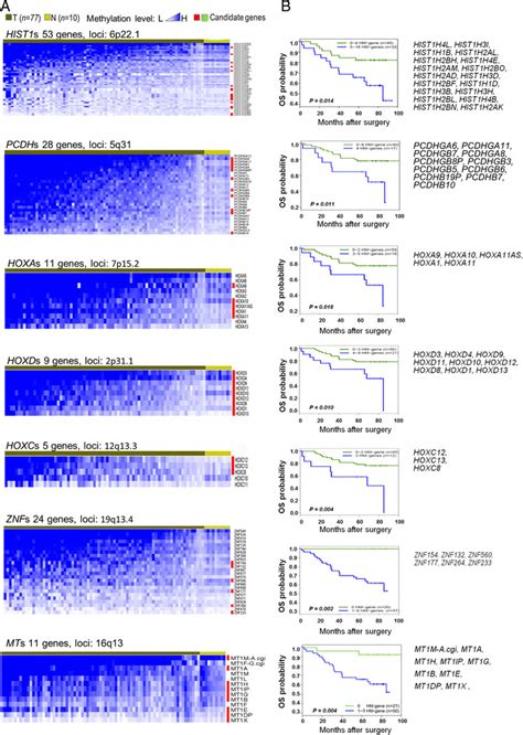 Gene Clusters Hypermethylated In Breast Cancer And Associated With Poor