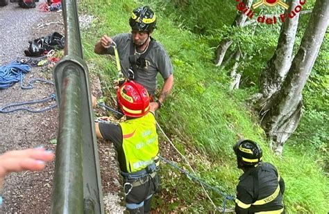 Tolmezzo Cagnolino Finisce In Un Dirupo Per Metri Recuperato Dai