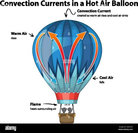 Convection Currents In Hot Air Balloon Diagram Illustration Stock Vector Image And Art Alamy