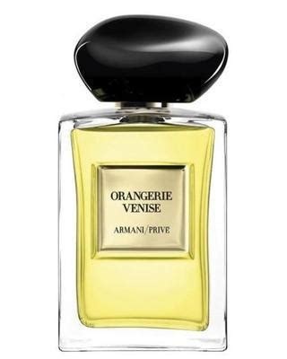 Buy Armani Prive Perfume Samples & Decants Online – fragrancesline.com