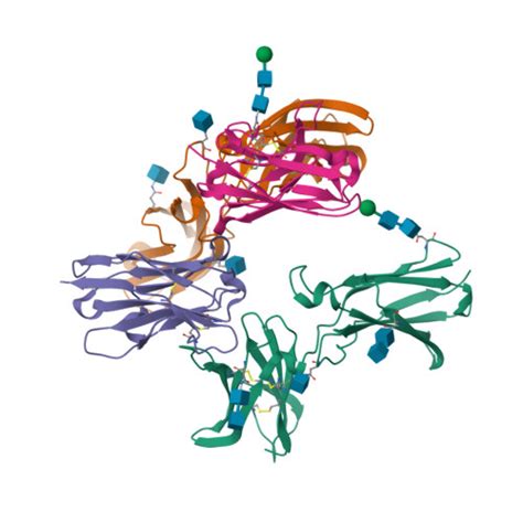 Rcsb Pdb K Q Crystal Structure Of Nanobody Hunb Bound To Human