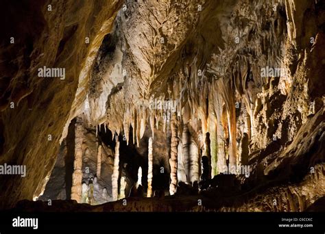 Stalactites And Stalagmites In Limestone Cave Of The Caves Of Han Sur Lesse Grottes De Han