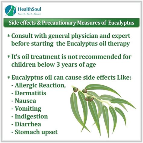 Health Benefits Of Eucalyptus Healthsoul