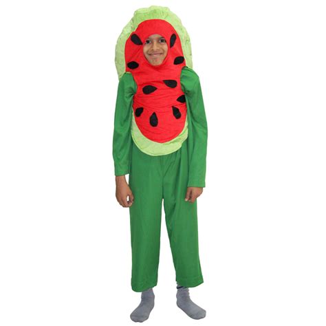 Watermelon Costume Rental in Udaipur | Fancyano