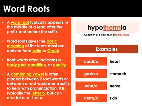 Medical And Directional Terminology For Anatomy Presentation Or Ppt