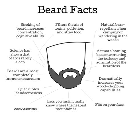 Beard Facts | Bushcraft USA Forums