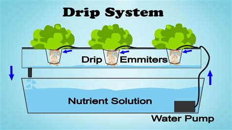 How To Build A Hydroponic Drip System