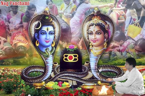 Book Naag Panchami Puja Online | Shaligram Shala