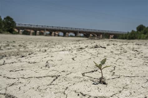 Siccità Confagricoltura lancia l allarme per il 2023 risorgimentosicilia