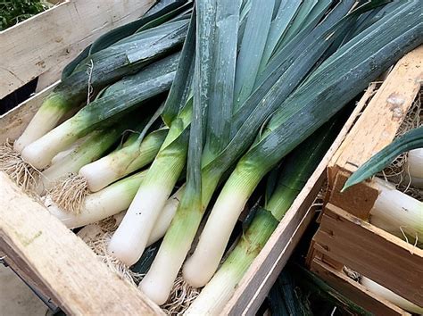 Click Collect LE PEPIN ET LA PLUME Votre commande à LA ROCHE MAURICE