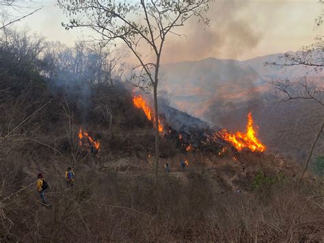 La Huerta Exhorta A Evitar Quemas Agr Colas Debido A Incendios