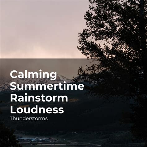 Calming Summertime Rainstorm Loudness Album By Thunderstorms Spotify