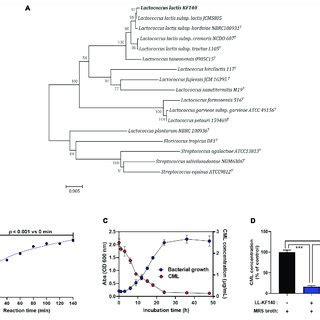 Isolation Of Lactococcus Lactis KF140 LL KF140 And Its Reduction Of