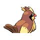 Pidgey sprites gallery | Pokémon Database