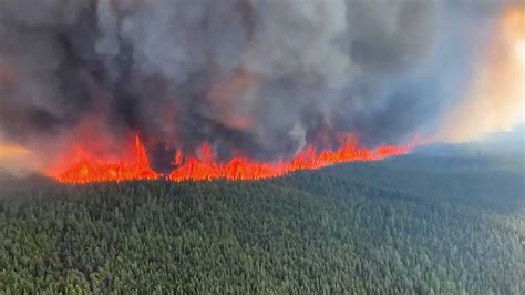 Waldbrände in Kanada 10 Mio Hektar zerstört oe24 tv