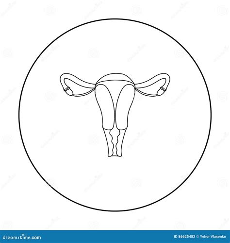 Uterus Icon In Outline Style Isolated On White Background Pregnancy