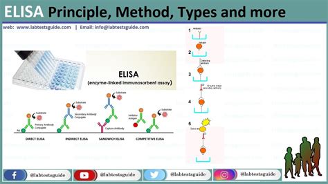 Enzyme-Linked Immunosorbent Assay (ELISA) Types, Principle, Method and ...