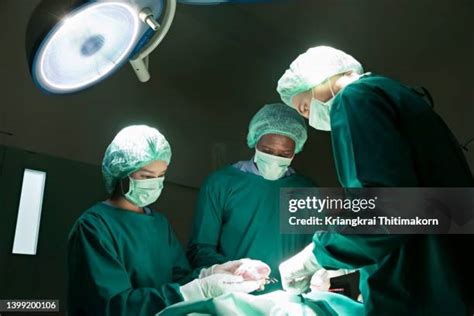 internal organs female stock  high res pictures