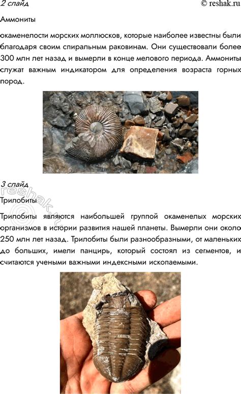 (Решено)Параграф 10 ГДЗ Пасечник Суматохин Гапонюк 7 класс по биологии