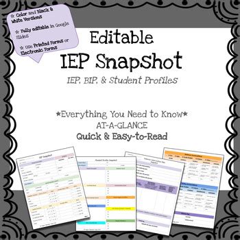 IEP Snapshot IEP At A Glance Quick IEP Fully Editable TPT