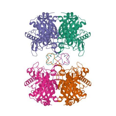 Rcsb Pdb Xz Purification Crystallization And Structural Analysis