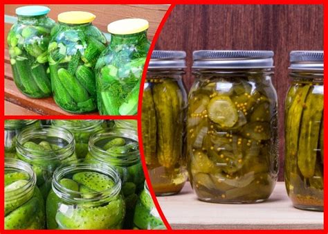 Рецепты самых вкусных соленых огурцов: 6 вариантов засолки в кастрюле ...