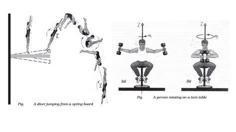 Conservation Of Angular Momentum With Illustration