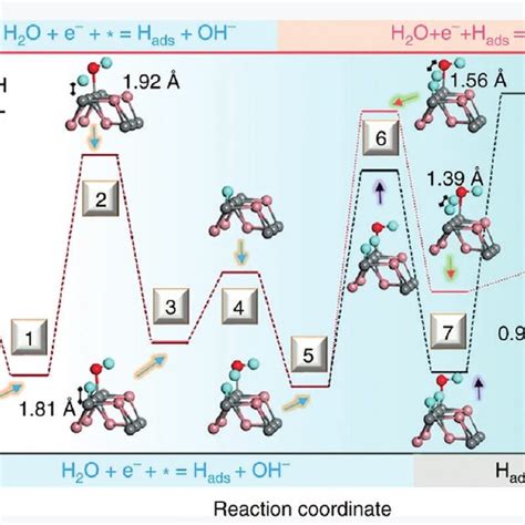 Schematic Configuration Coordinate Diagrams For Catalytic HER Reaction