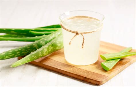 Descubre Los Asombrosos Beneficios De Consumir Aloe Vera Diariamente