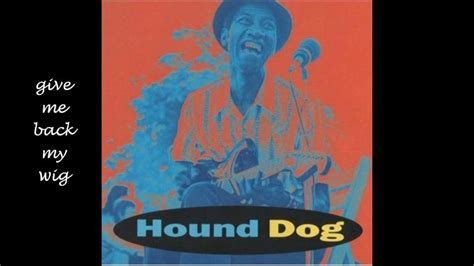 Hound Dog Taylor Give Me Back My Wig Youtube