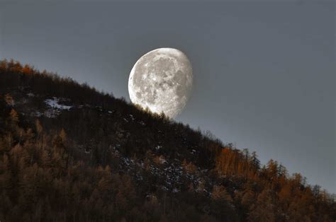 Passeggiate Sotto Le Stelle Speciale Lupo Luna Muse Museo