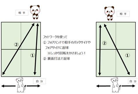 【卓球：中国式ペン・裏面打法】実戦で最初に使える裏面技術はこれだ！ 卓球lab