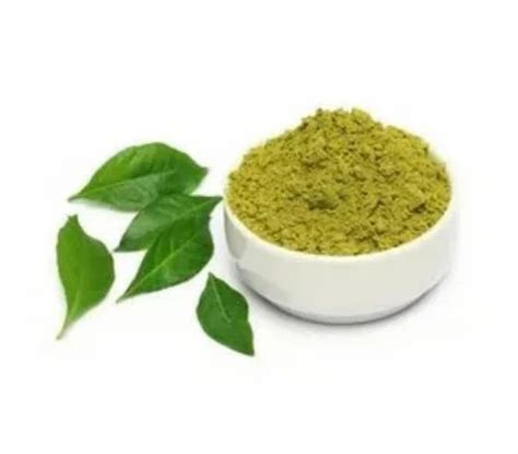 Camellia Sinensis Leaf Extract Powder At 120 Kg Natural Extract In