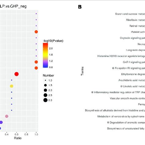 Kegg Pathway Enrichment Of The Differentially Abundant Metabolites