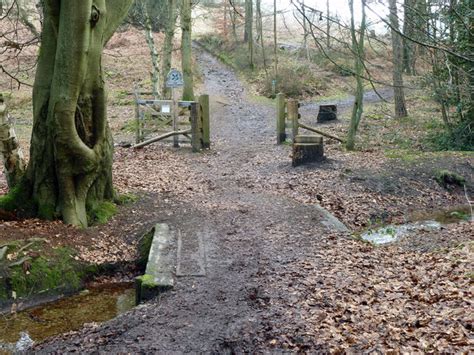 Bridleway At Whiteberry Gate Robin Webster Cc By Sa