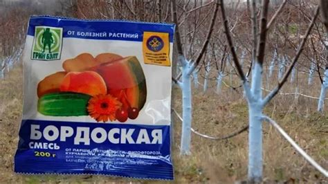 Препарат Бордоская жидкость, ВСК