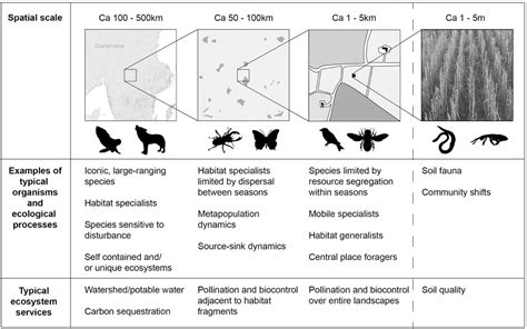 Frontiers Sparing Land For Biodiversity At Multiple Spatial Scales